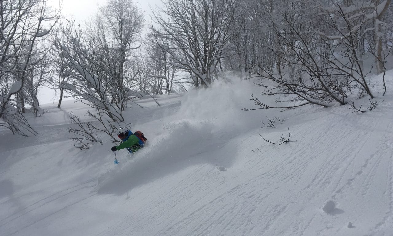 <span style="font-size:1.5em;"> SKI </span><br/> Ski au Japon <br/> /// Janvier 2024 /// <br/><SPAN STYLE="COLOR: #B22222;">EN préparation pour 2024</SPAN>