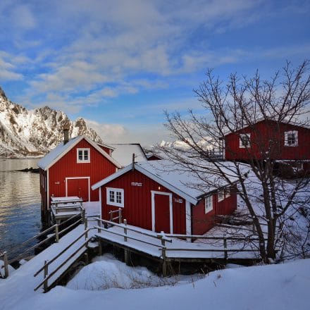 <span style="font-size:1.5em;">SKI</span><br/>Ski et yoga – Lofoten – Norvège<br/>/// mars 2018 ///<br/><span style="color: #b0cc00;">Séjour exceptionnel!</span>