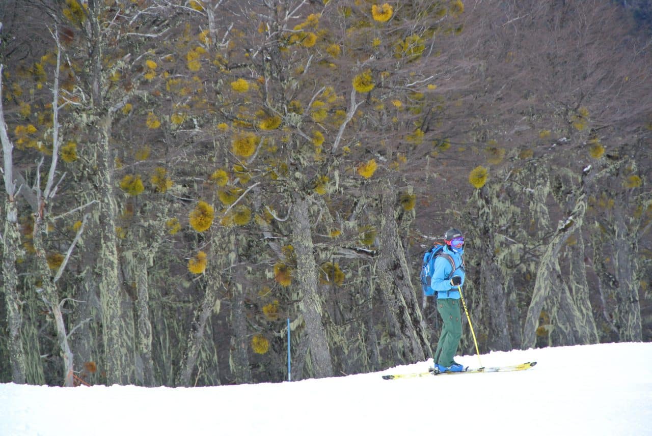 Ski à Perito Moreno au dessus de El Bolson en Patagonie Argentine