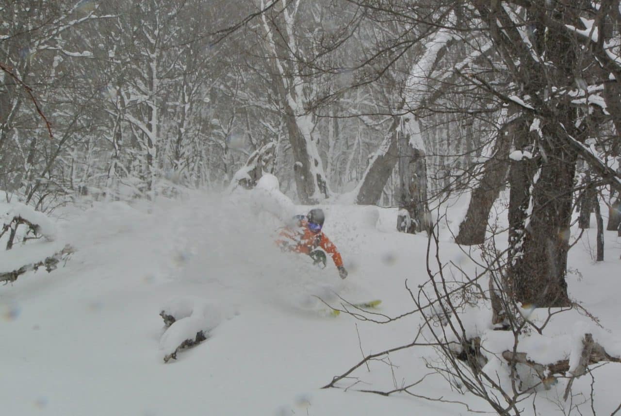 Ski en foret au Cerro Catedral en Patagonie Argentine