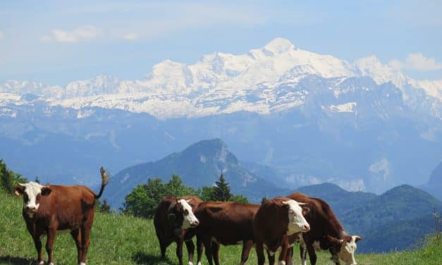 <span style="font-size:1.5em;"><span class="caps">TREK</span> </span><br>Les balcons du Léman<br> /// juin 2018 /// <br><span style="color: #b0cc00;">Plus que 3 places</span>