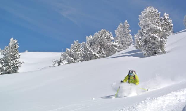 Espagne, Pyrénées : Baquiera, skier dans le grand blanc
