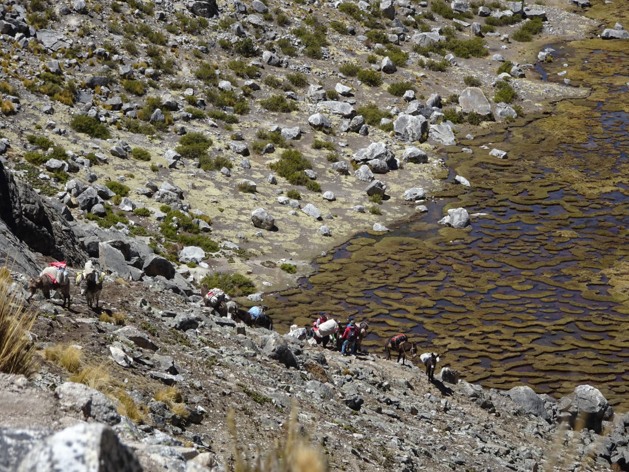 Bolivie, montée au camp 1 du Chachacomani. carrard xavier