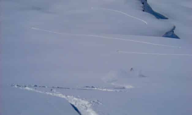 <span style="font-size:1.5em;"><span class="caps">SKI</span> </span><br> Cours avalanche <br> /// janvier 2019 /// <br><span style="color: #b0cc00;"> Places disponibles </span>
