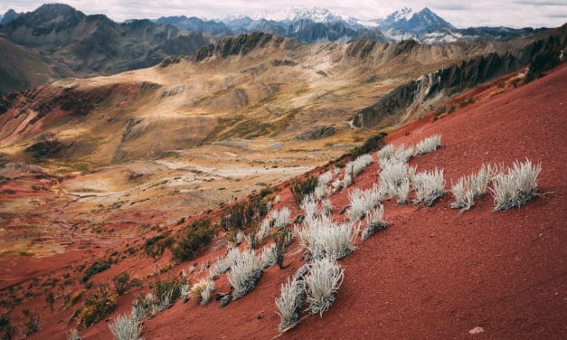 <span style="font-size:1.5em;"> TREK </span><br/> Pérou, découverte de la Cordillère Huayhuash <br/> /// Mai-juin 2021 /// <br/><span style="color: #b0cc00;"> Places disponibles</span>