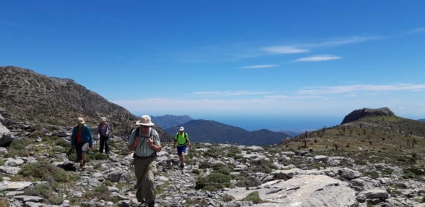 Alcazabar y Torrecillas, Sierra de las Nieves, Randonnées pédestres, séjour Andalousie, Espagne avec Silvana Alimenti Carrard accompagnatrice en montagne UIMLA, chez Helyum,