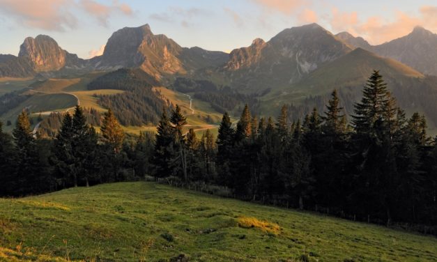 <span style="font-size:1.5em;"><span class="caps">NATURE</span></span><br> Parc Naturel du Gantrisch : sauvage pour toujours<br> /// Juillet 2020 /// <br><span style="color: #B22222;">Complet</span>