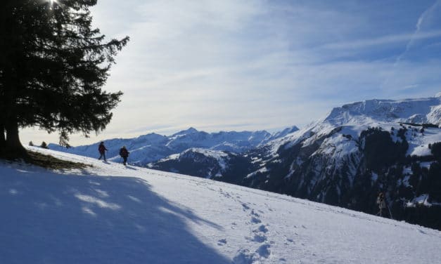 <span style="font-size:1.5em;"><span class="caps">RAQUETTE</span> </span><br> Week end a lenk im Simmental <br> /// Février 2021 /// <br><span style="color: #b0cc00;">Places disponibles</span>