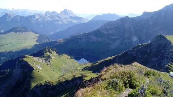 <span style="font-size:1.5em;"><span class="caps">NATURE</span> </span><br>Pic Chaussy : rando dans les Préalpes vaudoises<br> /// Juillet 2020 /// <br><span style="color: #b0cc00;">Places disponibles</span>