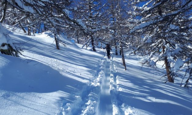 <span style="font-size:1.5em;"><span class="caps">SKI</span> </span><br> Vallée de Conche <br> /// Février 2021 /// <br><span style="COLOR: #B0CC00;">Places disponibles</span>
