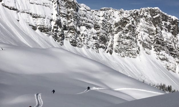 <span style="font-size:1.5em;">Ski</span><br>Diemtigtal<br> /// Janvier 2021 /// <br><span style="color: #b0cc00;"> places disponibles </span>