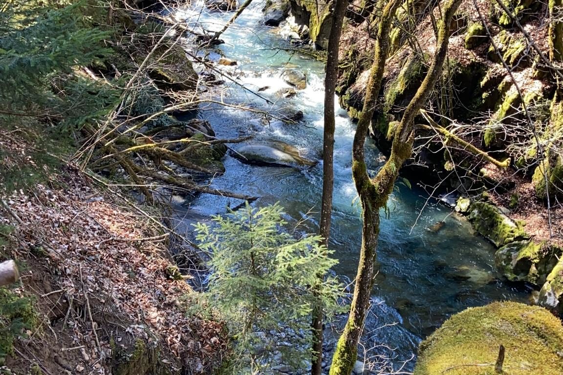 <span style="font-size:1.5em;">PECHE</span><br/> Initiation pêche en rivière <br/> /// Juin 2023 /// <br/><span style="color: #b0cc00;"> Places Disponibles </span>
