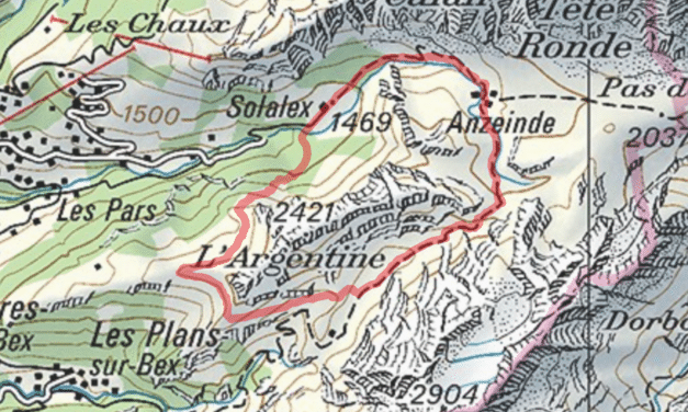 <span style="font-size:1.5em;"> NATURE </span><br/>Tour d’Argentine<br/> /// Juillet 2021 /// <br/><span style="color: #b0cc00;">Places disponibles</span>