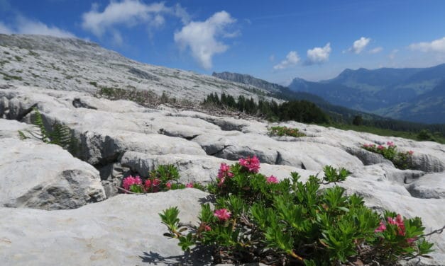 <span style="font-size:1.5em;"> NATURE </span><br/>Entlebuch, craquelés au chocolat<br/> /// JUIN 2021 /// <br/><span style="color: #b0cc00;">Places disponibles</span>