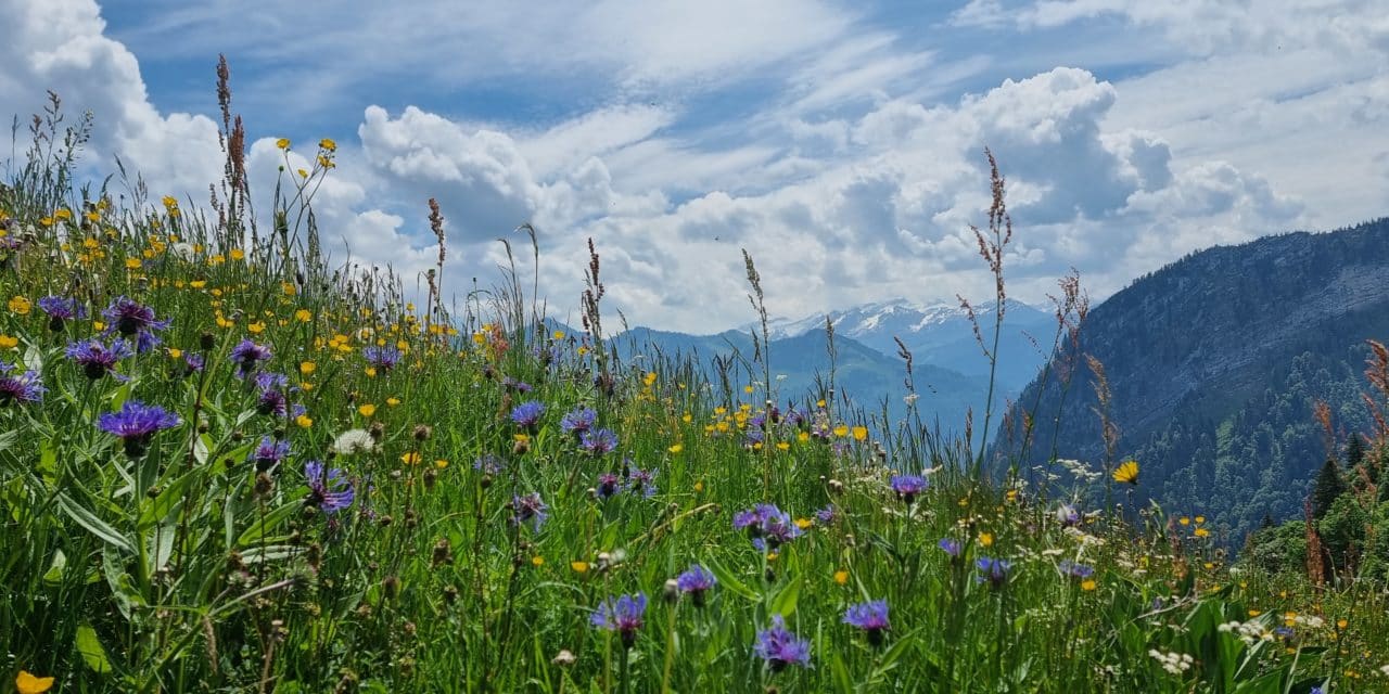 La Vudalla, boucle depuis Chalet Neuf, Gruyère.