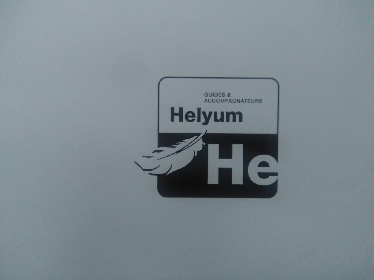 logo helyum.ch proposé