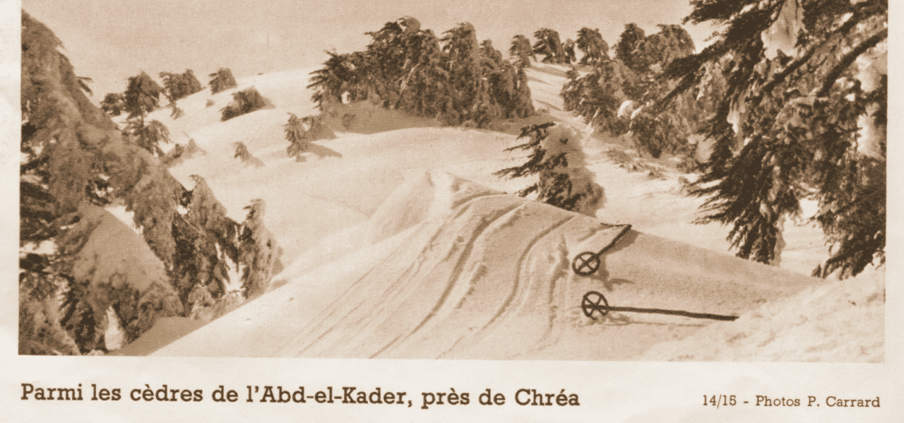 Ski en Algérie pierre Carrard 1945 helyum.ch