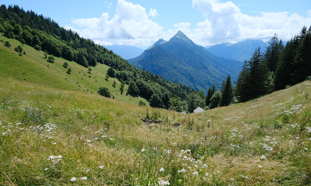 <span style="font-size:1.5em;"> NATURE </span><br> Tour de la Tulle- Mont Charvin<br> /// 6 juin 2025 /// <br><span style="color: #b0cc00;"> Places Disponibles </span>