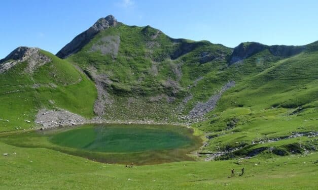 <span style="font-size:1.5em;"> NATURE </span><br> Tour de la Tulle- Mont Charvin<br> /// 6 juin 2025 /// <br><span style="color: #b0cc00;"> Places Disponibles </span>