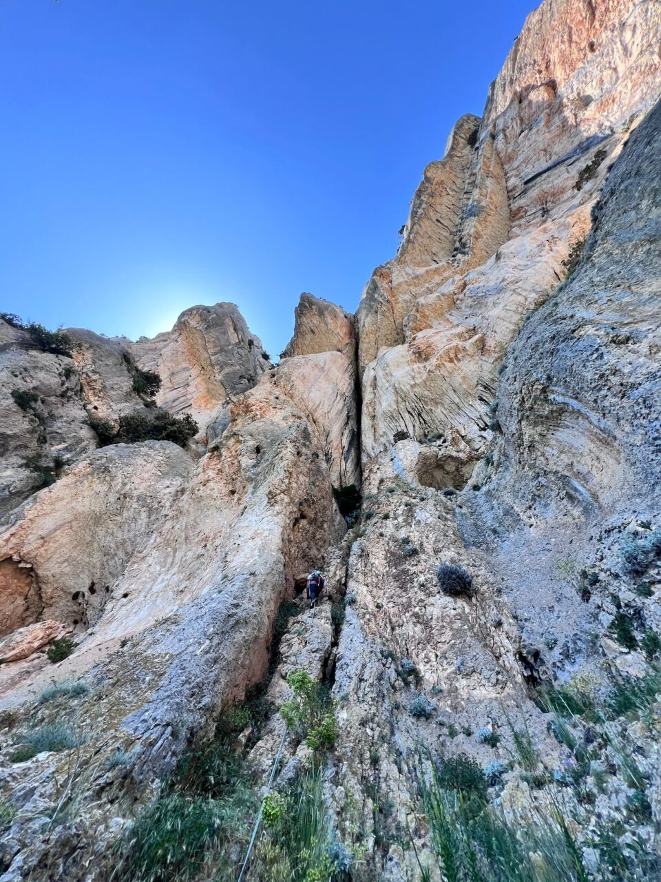 helyum.ch Verdon Gueule d'amour