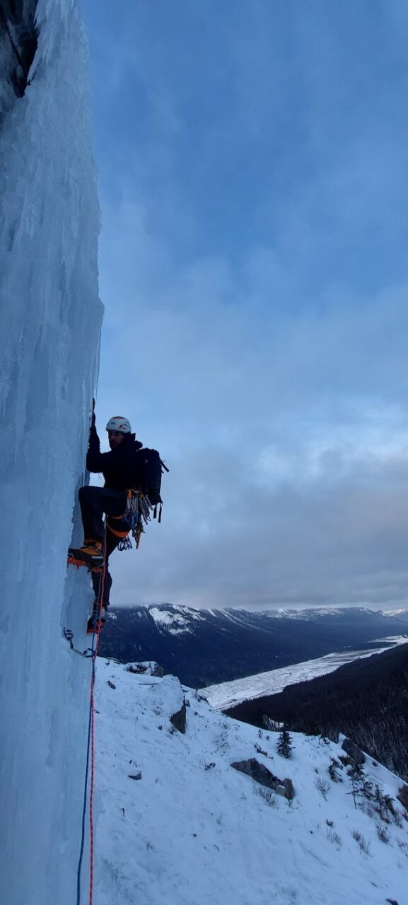 Shade of Beauty le long de Icefileds parkway