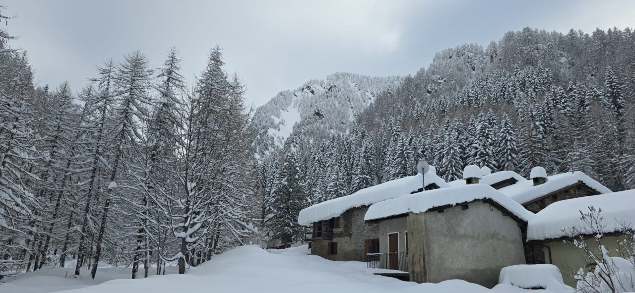 Helyum.ch Piemon raquette Silvana Carrard