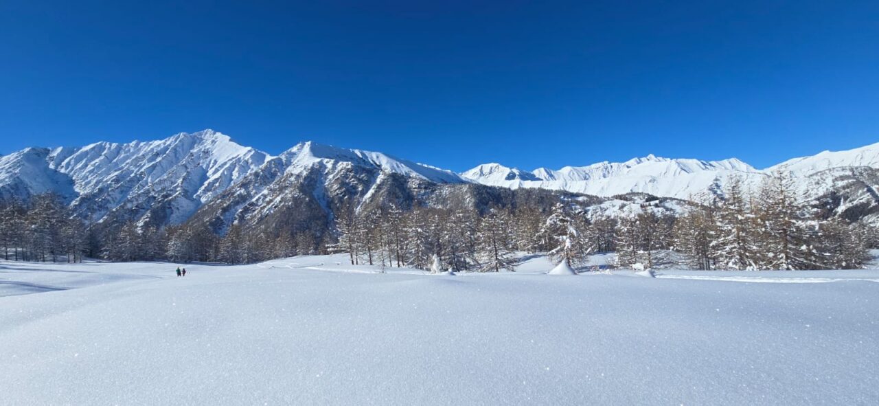 Helyum.ch piemont raquette silvana carrard