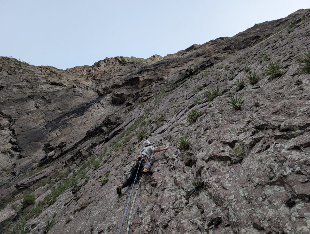Gianni grimpe les premières longueurs de la voie Logical Progression sur El Gigante.