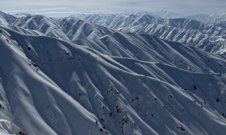 Ouzbekistan: comme pas deux !