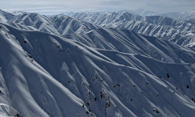 Ouzbekistan: comme pas deux !