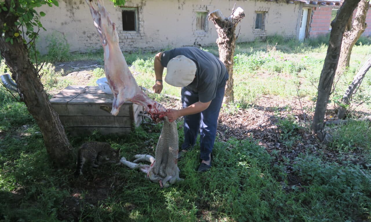 <span style="font-size:1.5em;"> ESCALADE </span><br> Patagonie Argentine <br> /// Octobre – novembre 2026 ///<br><span style="color: #b0cc00;"> Départ Garanti </span>