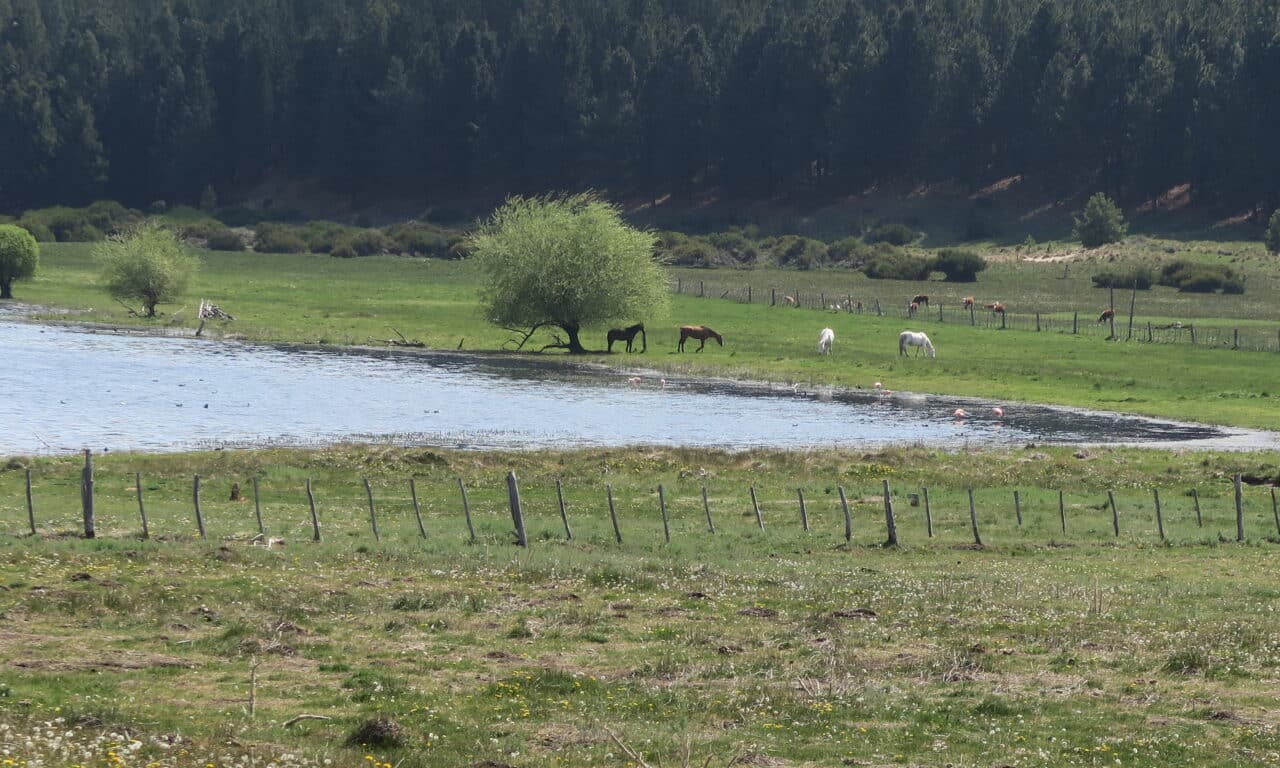 <span style="font-size:1.5em;"> ESCALADE </span><br> Patagonie Argentine <br> /// Octobre – novembre 2026 ///<br><span style="color: #b0cc00;"> Départ Garanti </span>