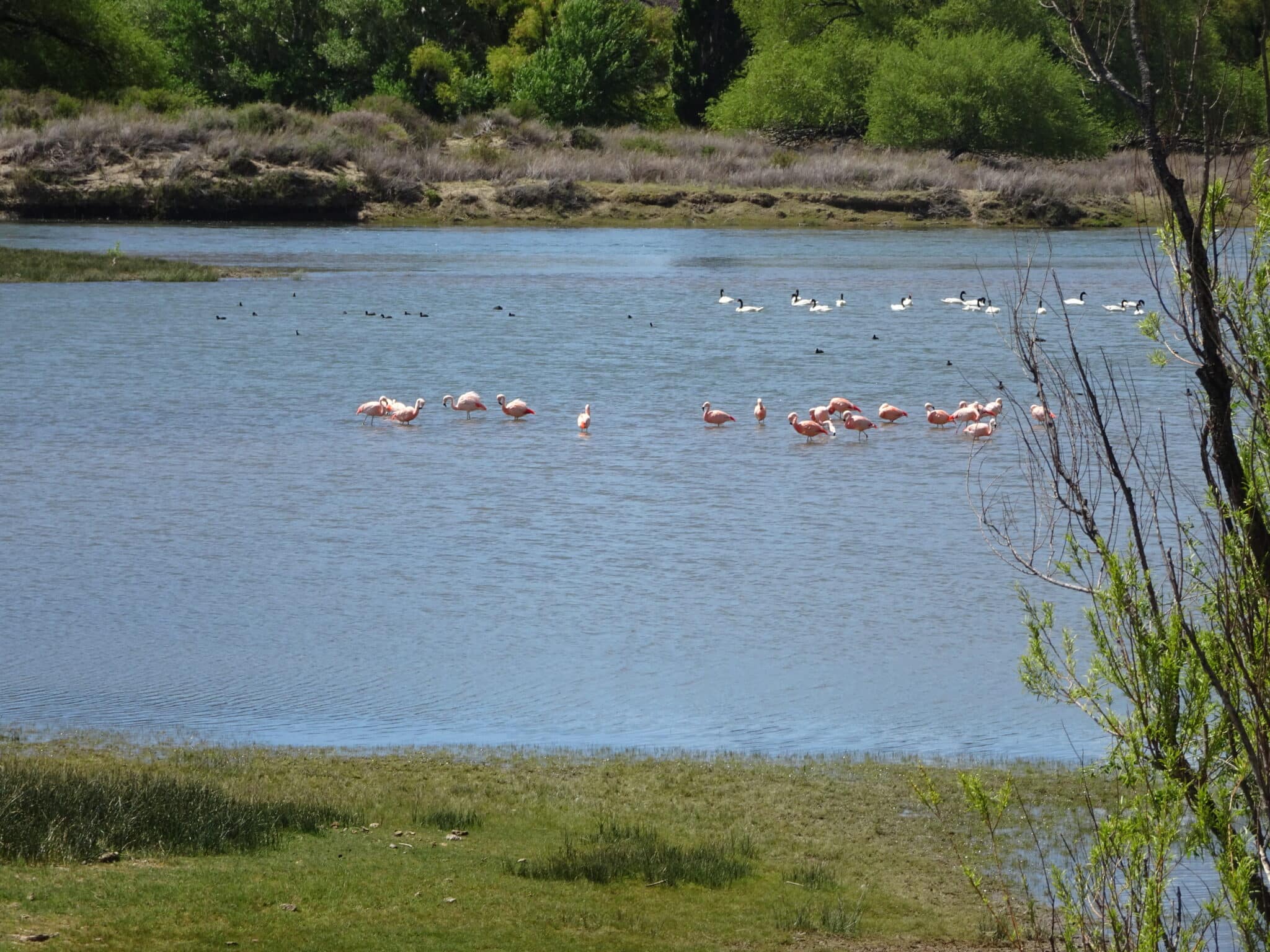 Helyum.ch Xavier Carrard Grimpez en Argentine voyage original