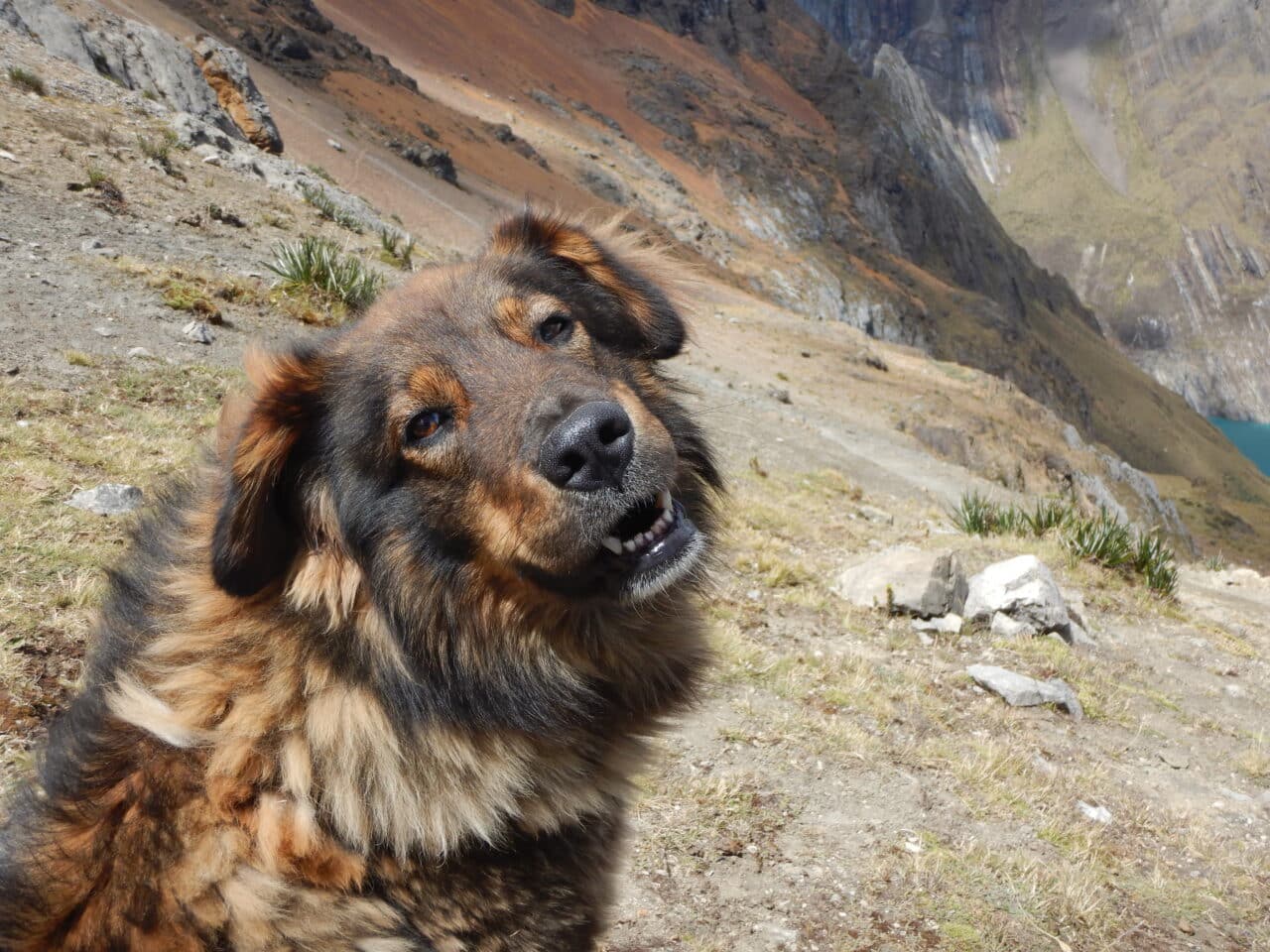 Helyum.ch Pérou 2026 trek et ascensions. compagnon de cordée