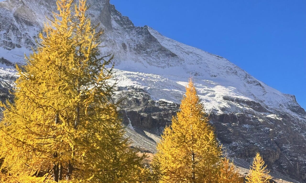 <span style="font-size:1.5em;"> NATURE </span><br/> E-bike Zermatt  <br/> /// octobre 2026 /// <br/><span style="color: #b0cc00;"> Places disponibles </span>