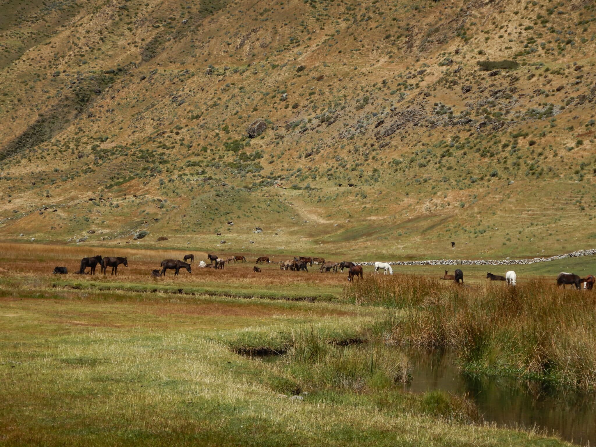 Expedition pérou 2027 helyum.ch Naturel